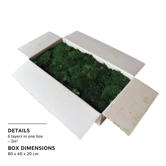 Real Preserved Flat Moss