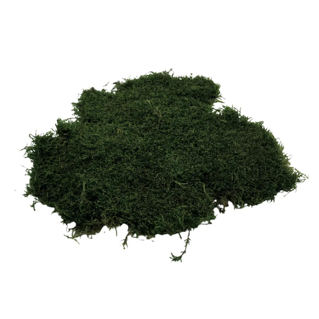 Real Preserved Flat Moss