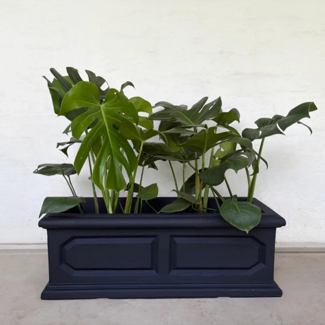 Classic Versailles Japi Window Box - Florastyle By Hingham