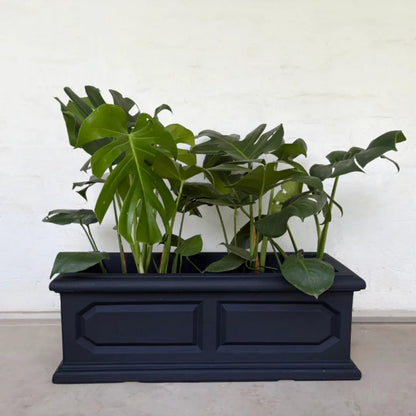 Classic Versailles Japi Window Box - Florastyle By Hingham