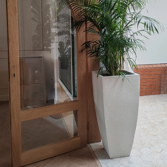 Tall square, textured, Off White, tapering shaped Japi planter.  Placed by a door frame. Palms planted inside. 