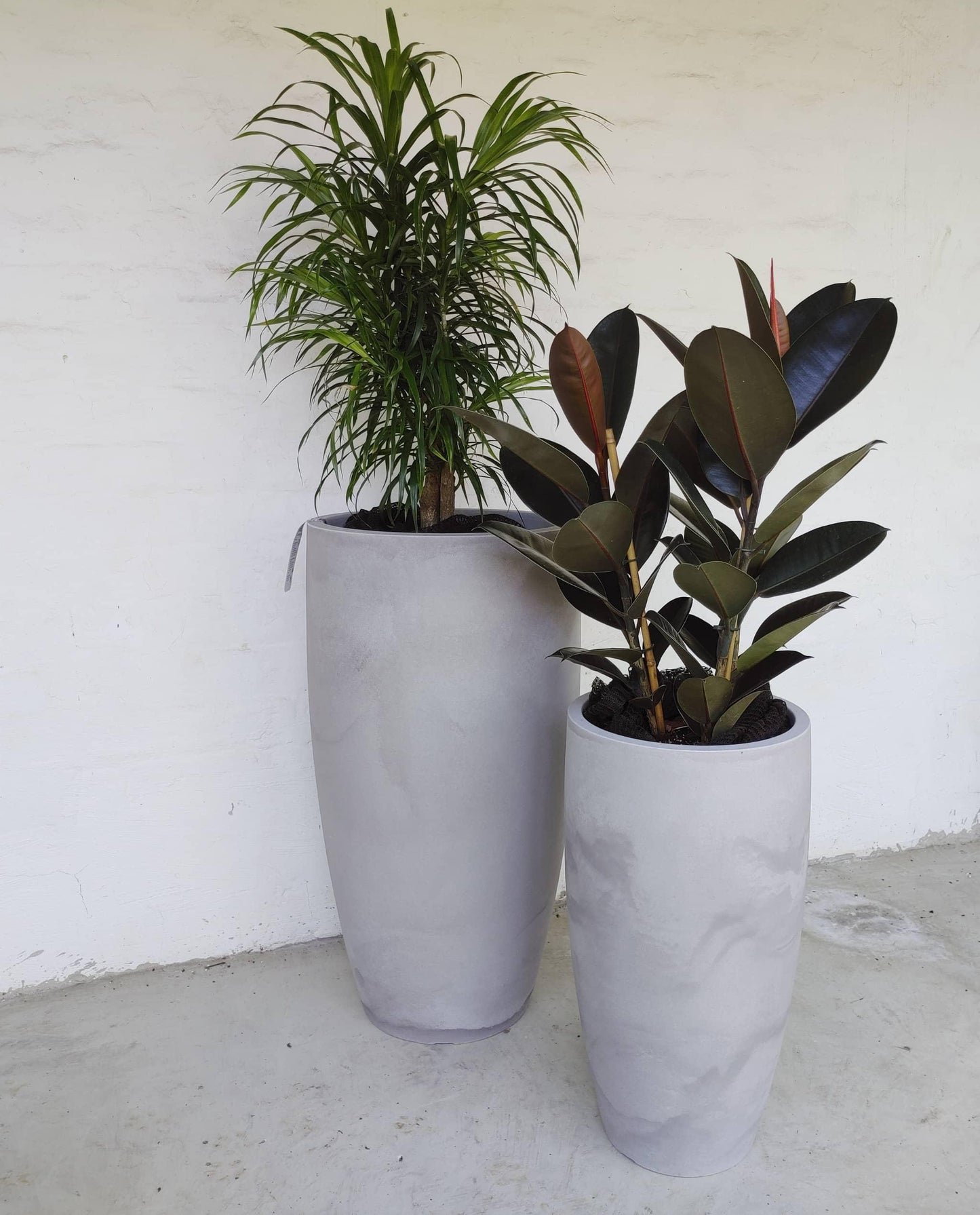 Conic Slim Japi Planter (Traditional) - Florastyle By Hingham