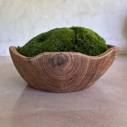Décor Moss Bowl - Real Preserved Moss - Florastyle By Hingham
