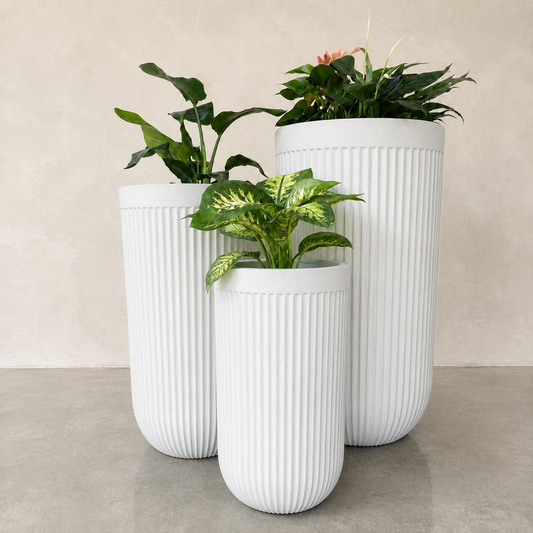 Flute Tall Japi Planter