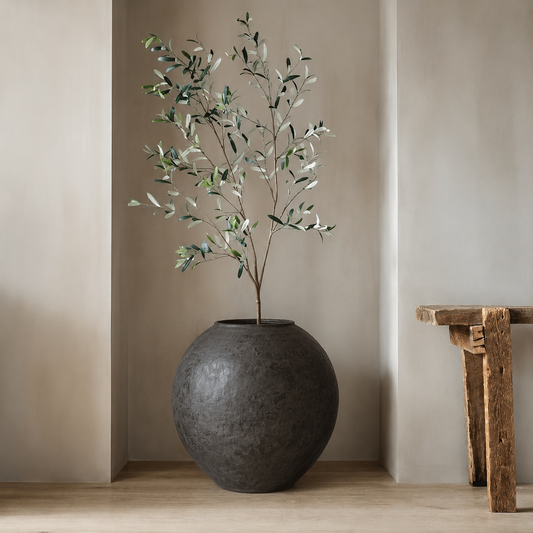 A small olive tree with green leaves sits in the Syracuse Organic Fiberglass Pot - Earth Range by Florastyle By Hingham on a wooden floor against a beige wall. A rustic wooden bench is partially visible on the right.