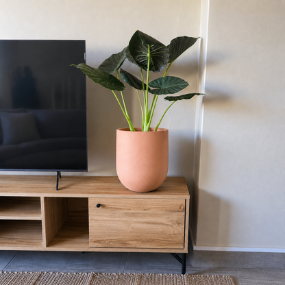 A large leafy plant in the tall, matte pink Traditional Cask Japi Planter by Florastyle By Hingham sits on a wooden TV stand beside a flat-screen TV in a modern living room.