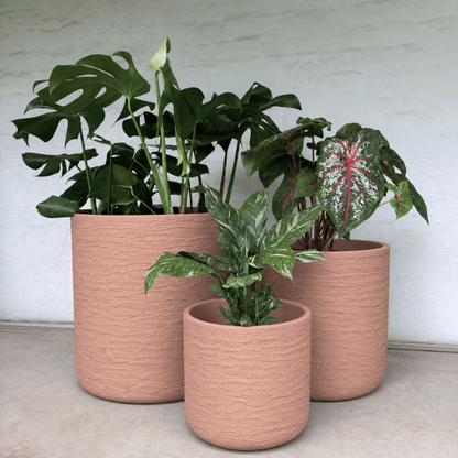 Three pink textured Japi Delhi Planters by Florastyle By Hingham, each with a unique leafy green plant, are displayed on a concrete floor against a light wall. Perfect as an indoor or outdoor planter set.
