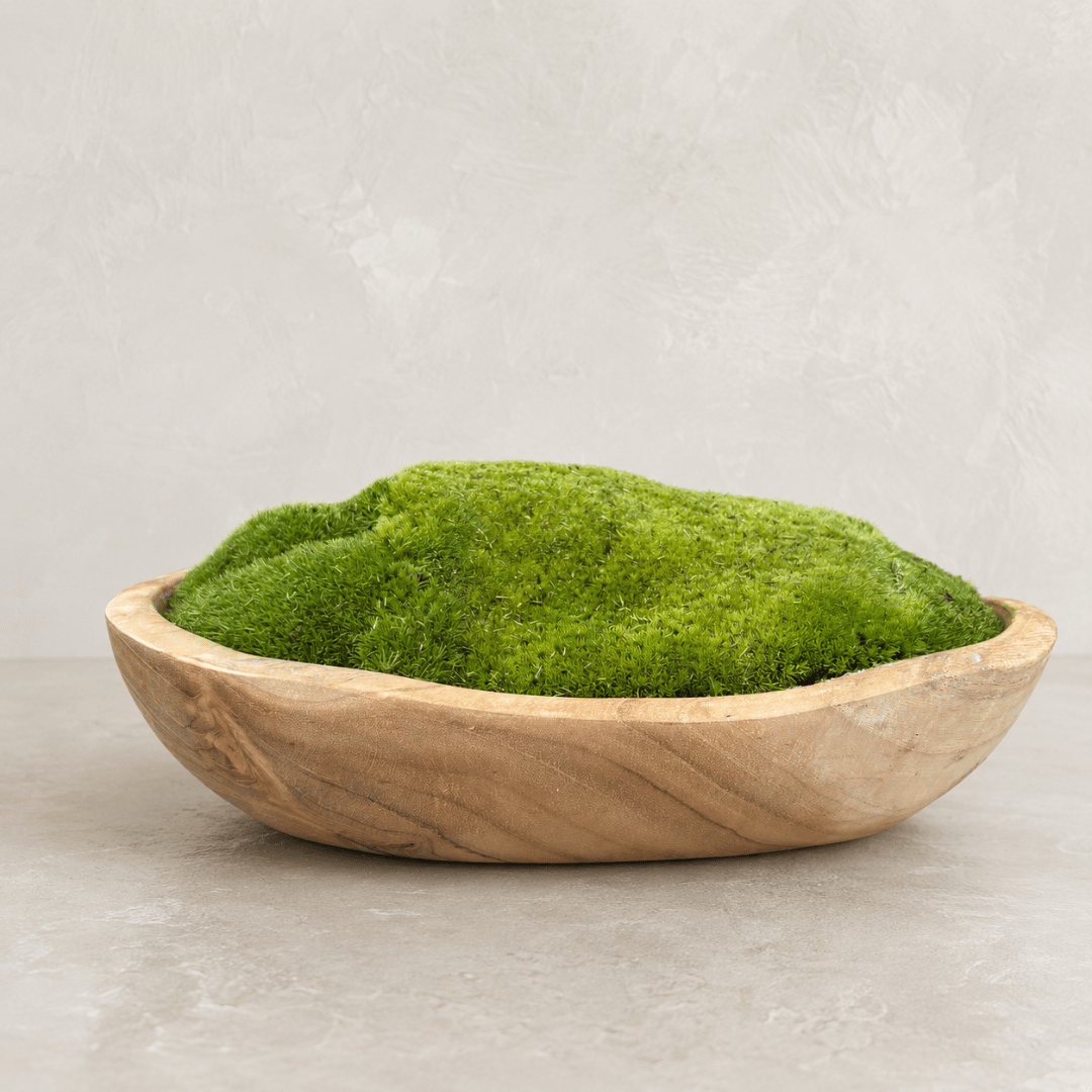 The Florastyle By Hingham Indonesian Teak Large Egg Décor Preserved Ball Moss Bowl (315 x 200 x 110 mm) features a low, oval silhouette handcrafted from Indonesian teak and filled with lush preserved ball moss, sitting elegantly on a light gray surface against a textured, pale wall—an effortlessly chic handmade organic accent for any living space.