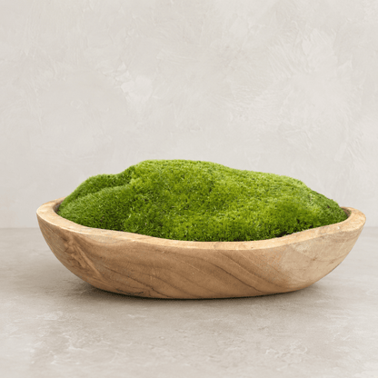 The Florastyle By Hingham Indonesian Teak Large Egg Décor Preserved Ball Moss Bowl (315 x 200 x 110 mm) features a low, oval silhouette handcrafted from Indonesian teak and filled with lush preserved ball moss, sitting elegantly on a light gray surface against a textured, pale wall—an effortlessly chic handmade organic accent for any living space.