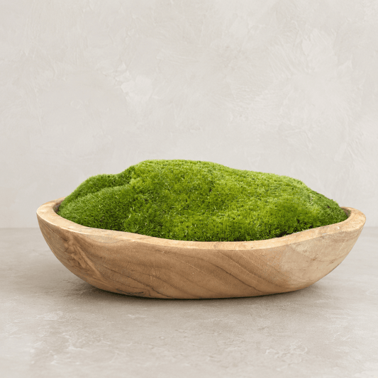 Indonesian Teak Large Egg Décor Preserved Ball Moss Bowl - 315 x 200 x 110 mm