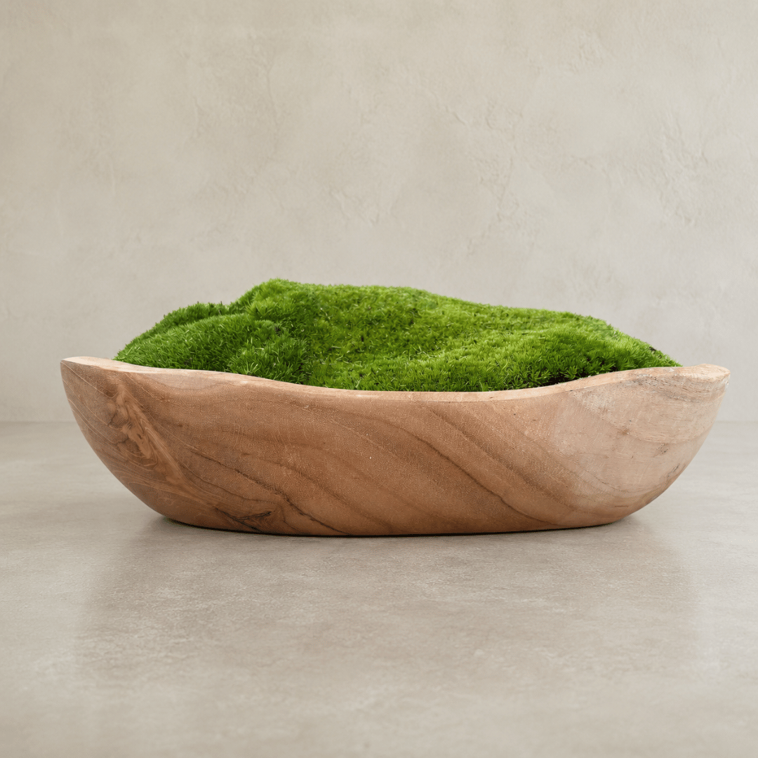 The Florastyle By Hingham Indonesian Teak Large Egg Décor Preserved Ball Moss Bowl (315 x 200 x 110 mm) features a handmade bowl crafted from authentic Indonesian teak, filled with lush preserved ball moss for an organic and elegant accent. Resting on a neutral surface against a simple, light background, this piece brings a sophisticated touch of natural décor to any setting.