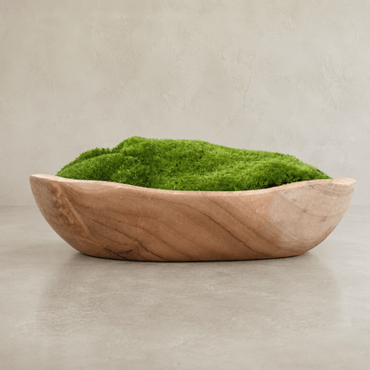 The Florastyle By Hingham Indonesian Teak Large Egg Décor Preserved Ball Moss Bowl (315 x 200 x 110 mm) features a handmade bowl crafted from authentic Indonesian teak, filled with lush preserved ball moss for an organic and elegant accent. Resting on a neutral surface against a simple, light background, this piece brings a sophisticated touch of natural décor to any setting.