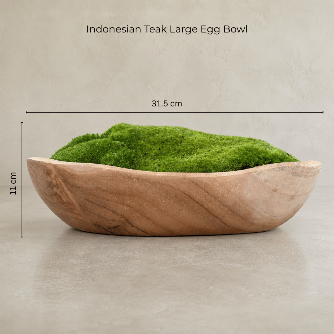 Presenting the Indonesian Teak Large Egg Décor Preserved Ball Moss Bowl by Florastyle By Hingham. Measuring 315 x 200 x 110 mm, this handmade organic centerpiece features a spacious, shallow bowl crafted from Indonesian teak and artfully filled with vibrant preserved ball moss. Set against a neutral background, it brings refined natural elegance to any space. Text above reads: Indonesian Teak Large Egg Bowl.