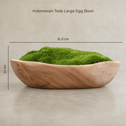 Presenting the Indonesian Teak Large Egg Décor Preserved Ball Moss Bowl by Florastyle By Hingham. Measuring 315 x 200 x 110 mm, this handmade organic centerpiece features a spacious, shallow bowl crafted from Indonesian teak and artfully filled with vibrant preserved ball moss. Set against a neutral background, it brings refined natural elegance to any space. Text above reads: Indonesian Teak Large Egg Bowl.