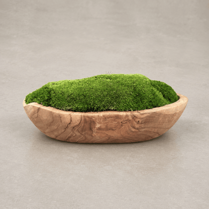The Florastyle By Hingham Indonesian Teak Large Egg Décor Preserved Ball Moss Bowl (315 x 200 x 110 mm) sits elegantly on a neutral gray surface, its handmade teak vessel cradling a lush mound of green preserved moss. The organic decoration is beautifully highlighted by the soft, plain background, creating a serene and natural focal point for any space.