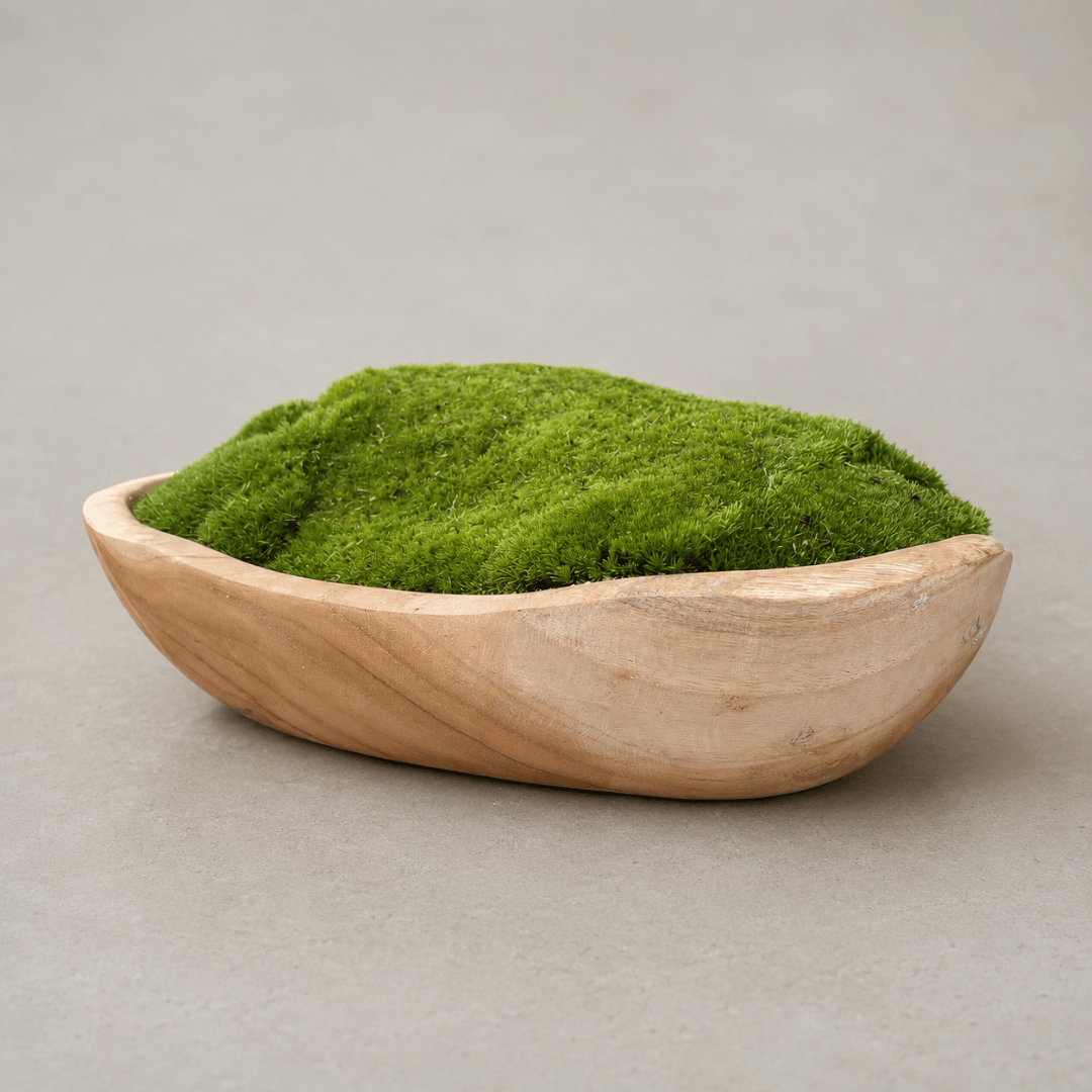 Expertly crafted by Florastyle By Hingham, the Indonesian Teak Large Egg Décor Preserved Ball Moss Bowl (315 x 200 x 110 mm) features a naturally finished wooden bowl filled with vibrant green preserved ball moss and displayed on a light gray surface—perfect for adding serene, organic style to any setting.
