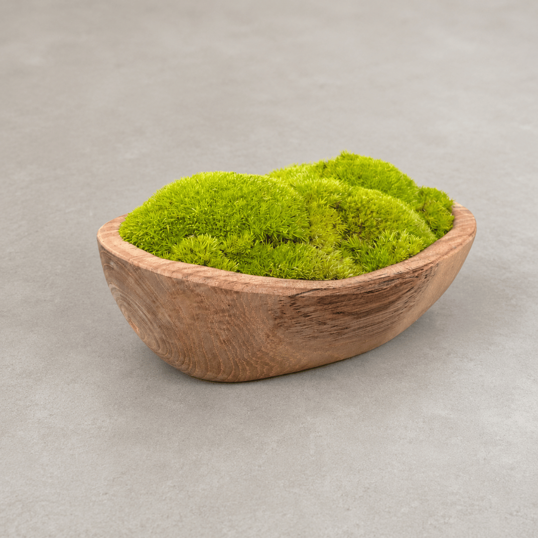 Indonesian Teak Small Egg Décor Preserved Ball Moss Bowl - 210 x 145 x 90 mm