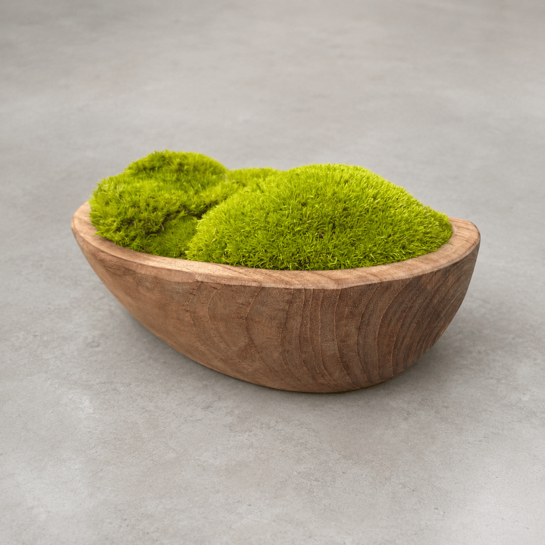 Indonesian Teak Small Egg Décor Preserved Ball Moss Bowl - 210 x 145 x 90 mm