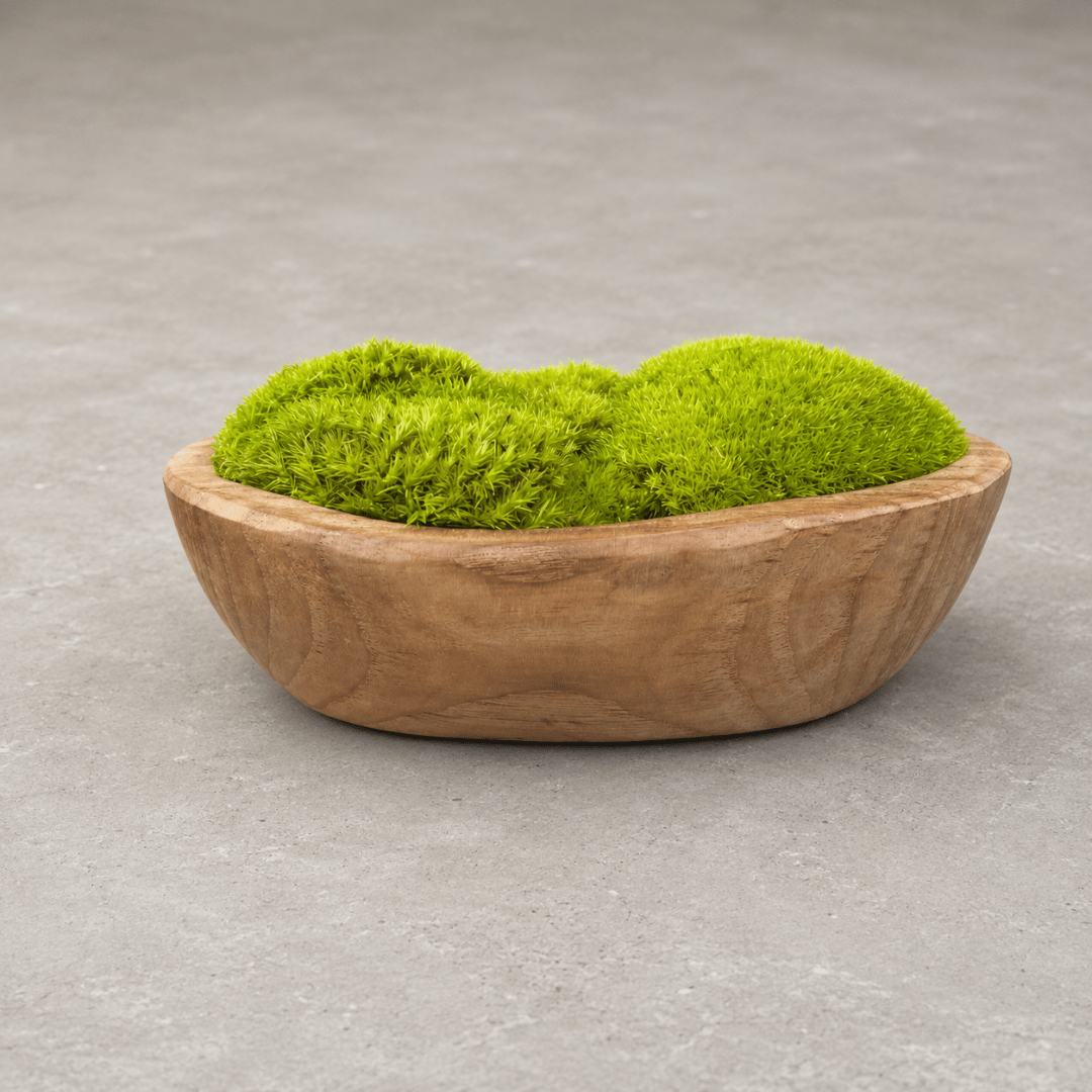 Indonesian Teak Small Egg Décor Preserved Ball Moss Bowl - 210 x 145 x 90 mm