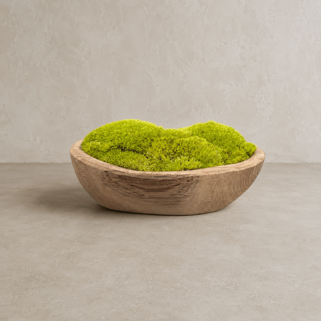 Indonesian Teak Small Egg Décor Preserved Ball Moss Bowl - 210 x 145 x 90 mm