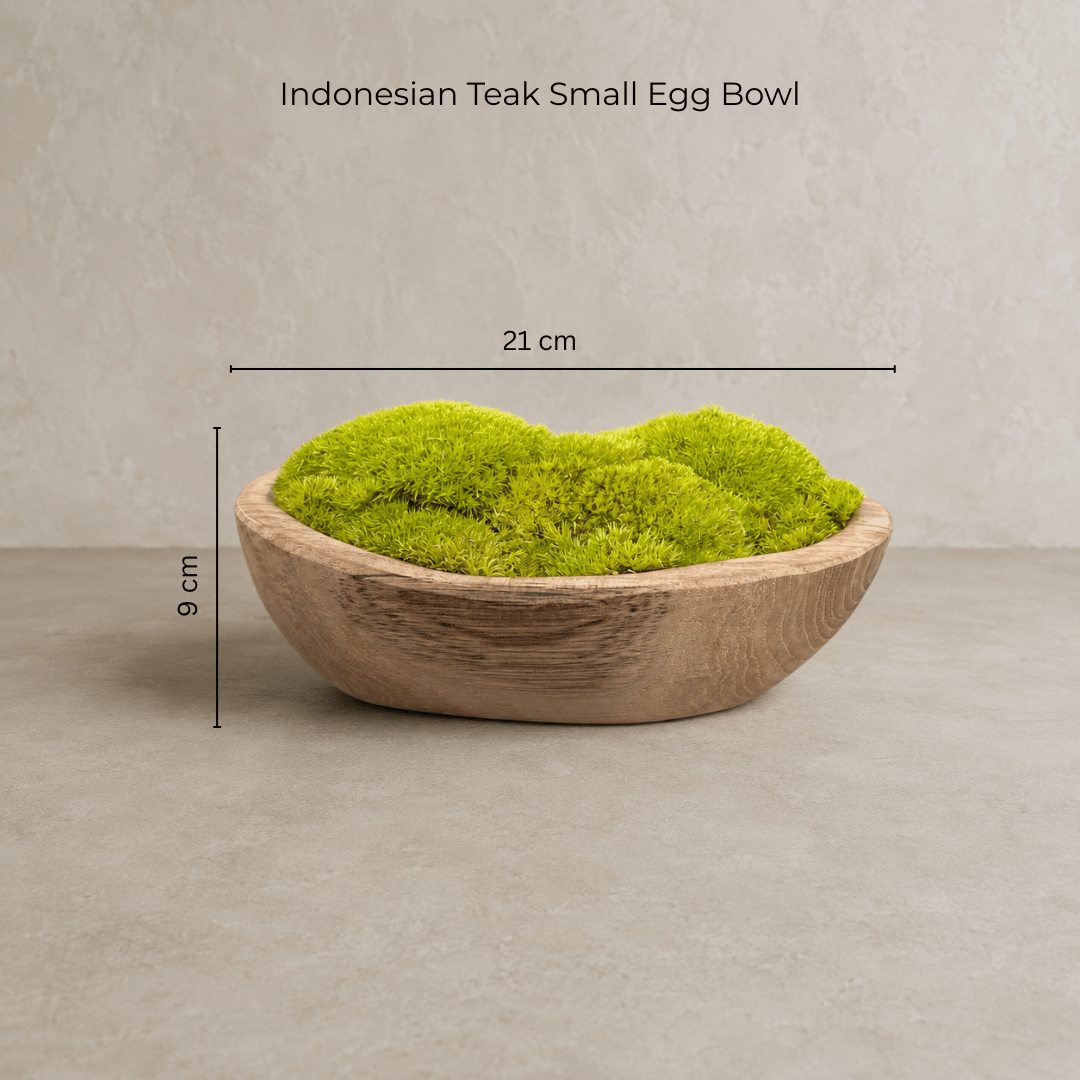 Indonesian Teak Small Egg Décor Preserved Ball Moss Bowl - 210 x 145 x 90 mm
