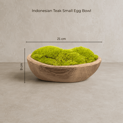 Indonesian Teak Small Egg Décor Preserved Ball Moss Bowl - 210 x 145 x 90 mm