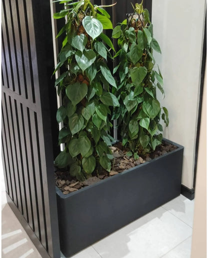 Two tall, leafy green plants are displayed in the Florastyle By Hingham Flat Japi Window Box - Double Walled, a lightweight rectangular black planter filled with rocks, set beside a black slatted divider on tiled flooring against white walls.