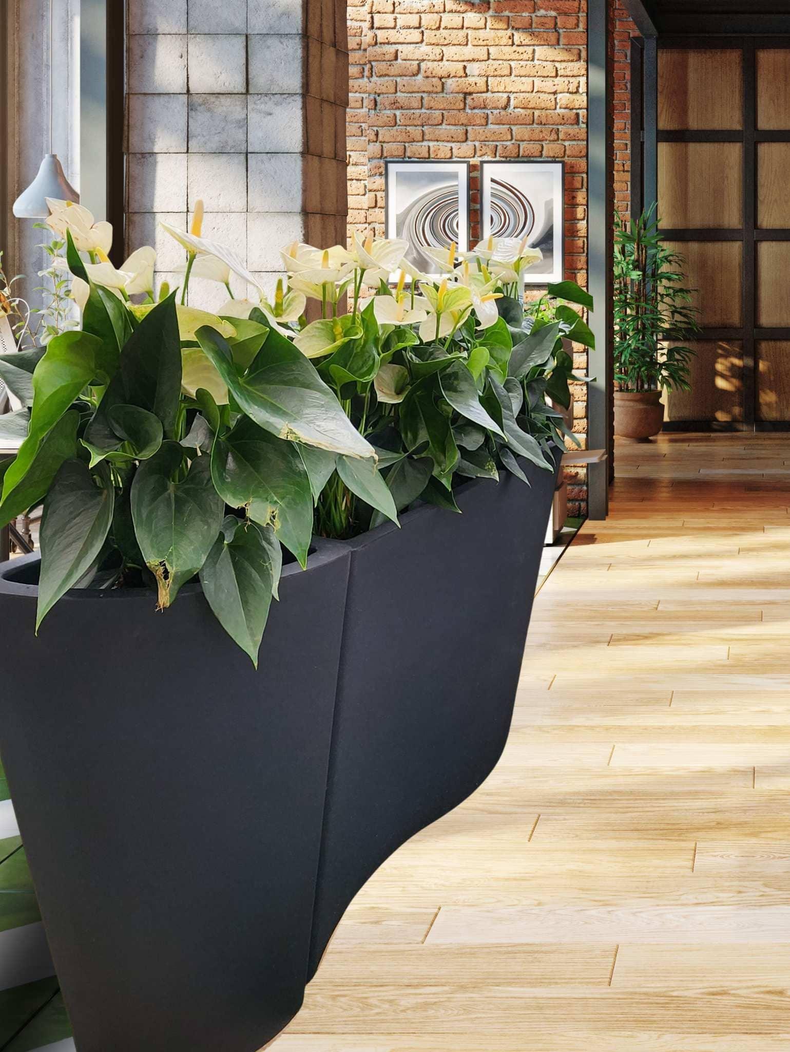 Decorative planter with green plants in a modern indoor setting. Beautiful wave shaped Flow Planters. Colour lead. 