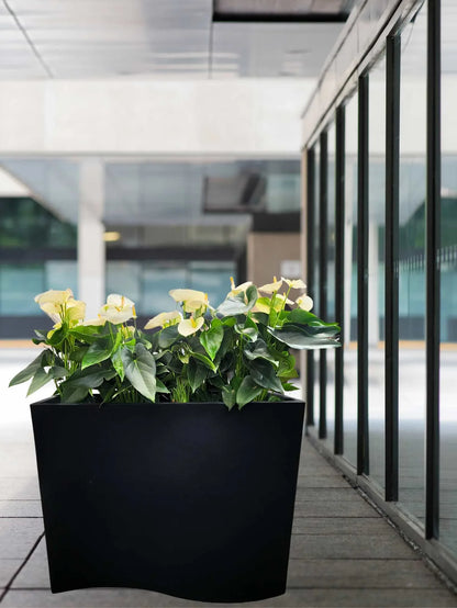 Flow Window Box Japi Planter