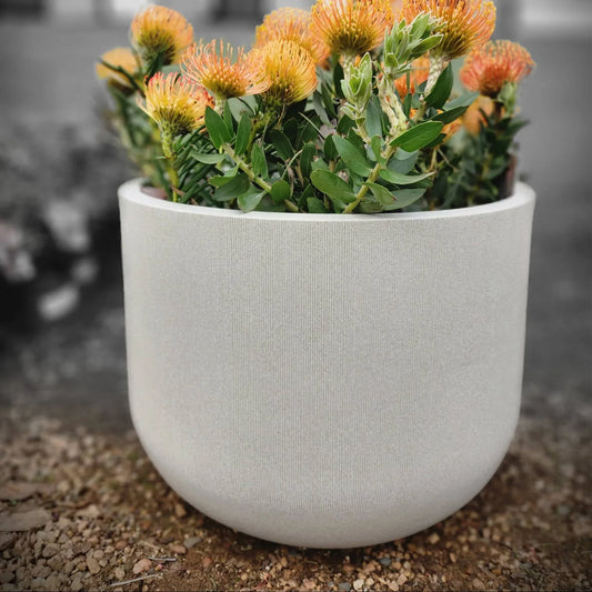 Fringe Round Japi planter, an elegant low plant pot with a gently thinly spaced fluted finish. Perfect for an elegantly decorated space. Colour Sandstone. Florastyle by Hingham