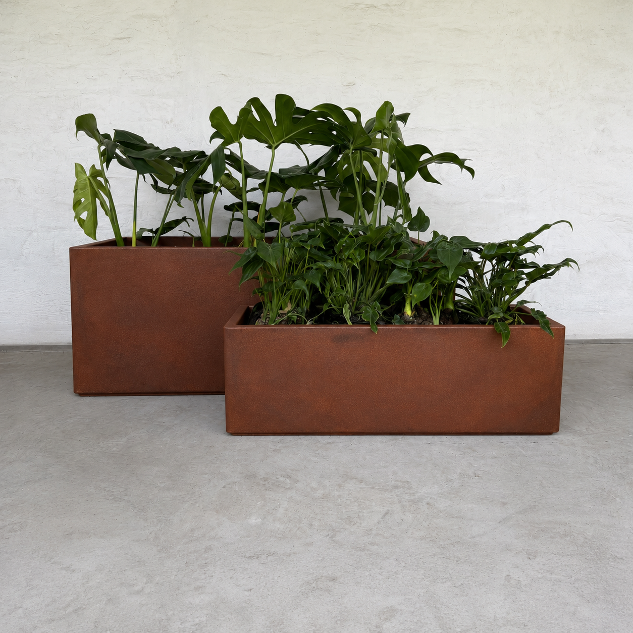 Two rust-colored Florastyle By Hingham Flat Japi Window Box - Double Walled planters with leafy green plants sit on a gray concrete floor against a white wall, adding a minimalist, modern touch to the space.