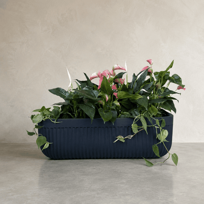 Flute Japi Window Box