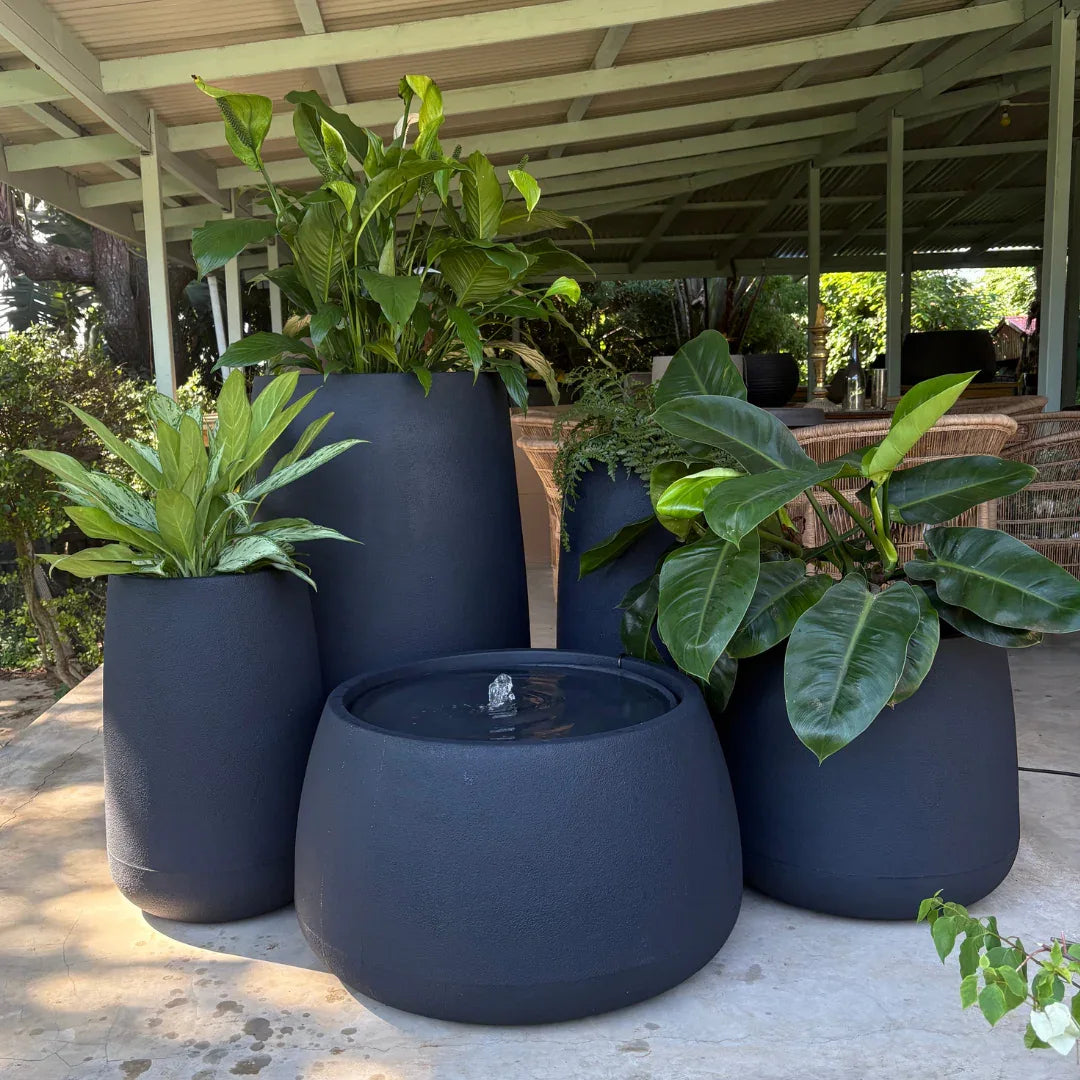 Full Bios Set with One Bios Low Water Feature