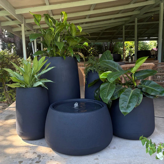 Full Bios Set with One Bios Low Water Feature