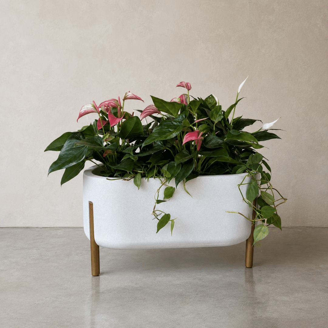 Hygge Cylinder Japi Planter - Cache Pot