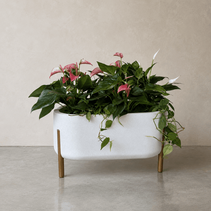 Hygge Cylinder Japi Planter - Cache Pot