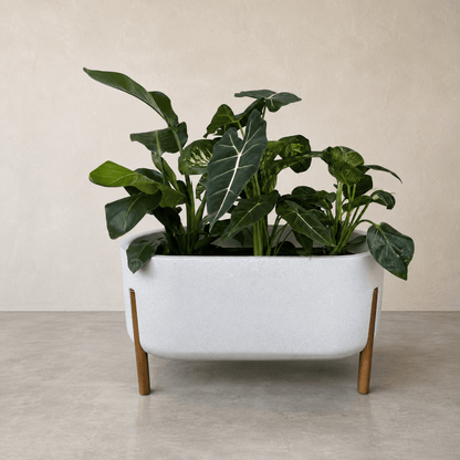 Hygge Cylinder Japi Planter - Cache Pot