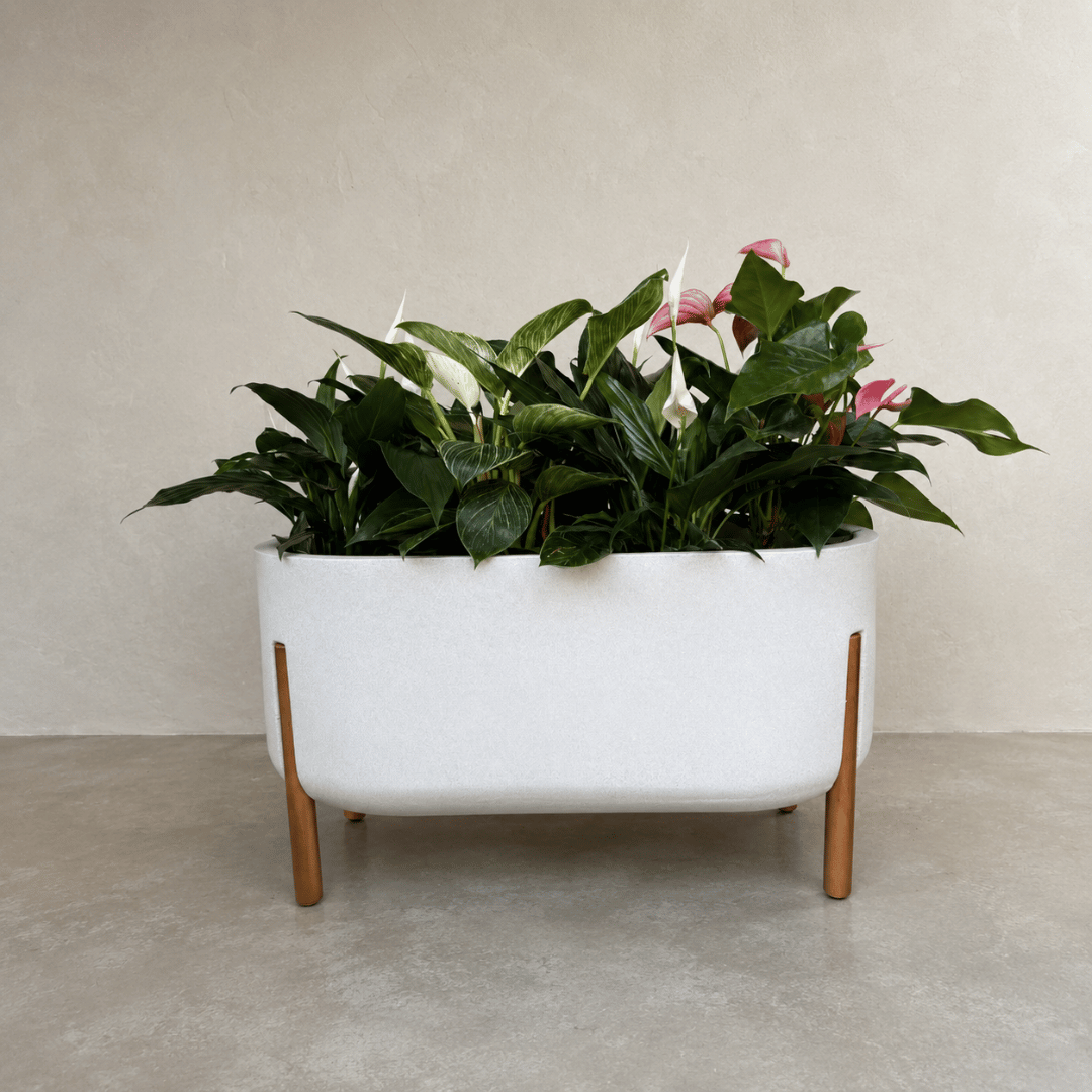 Hygge Cylinder Japi Planter - Cache Pot