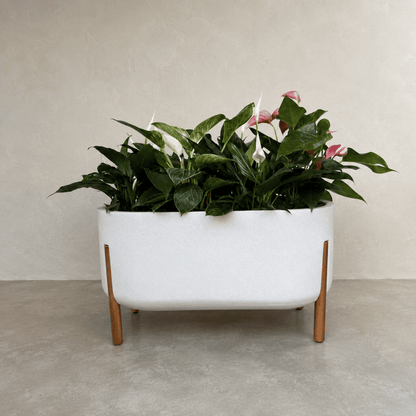 Hygge Cylinder Japi Planter - Cache Pot