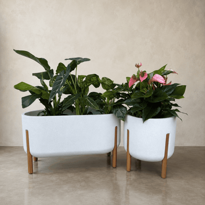 Hygge Cylinder Japi Planter - Cache Pot