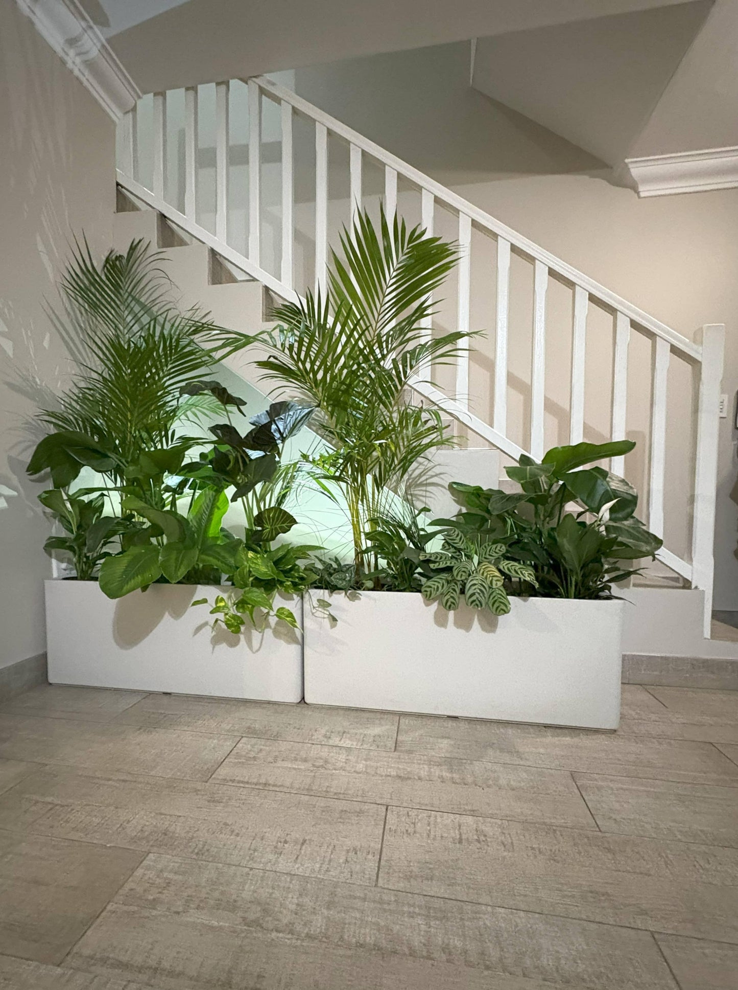 Large, lightweight Flat Japi Window Box - Double Walled planters by Florastyle By Hingham hold lush green houseplants and sit under a white staircase with wooden railings in a modern, light-toned interior.