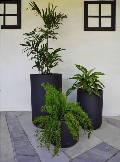 Match Cylinder Japi Planter With Saucer