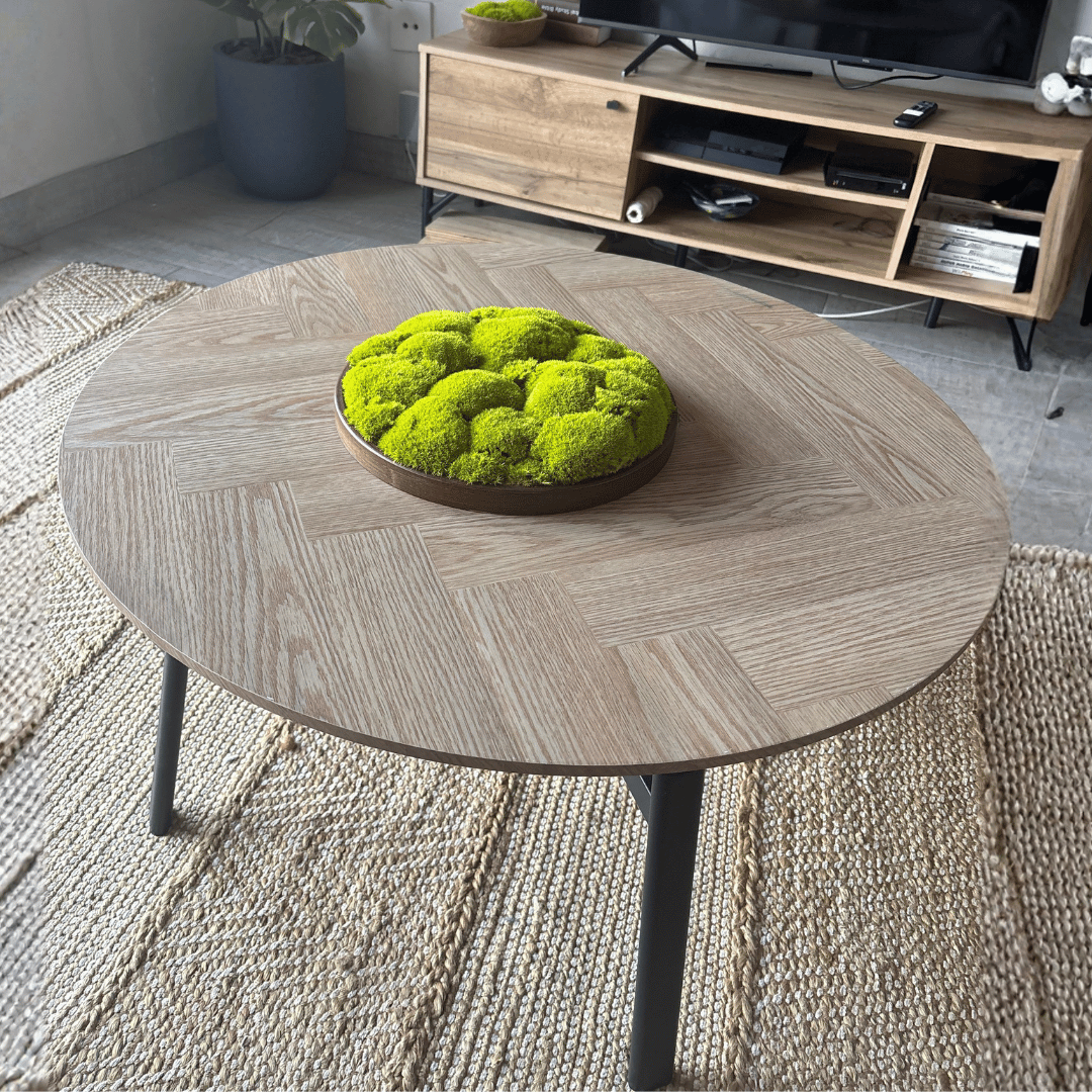 Round Décor Preserved Ball Moss Plate - 300 mm