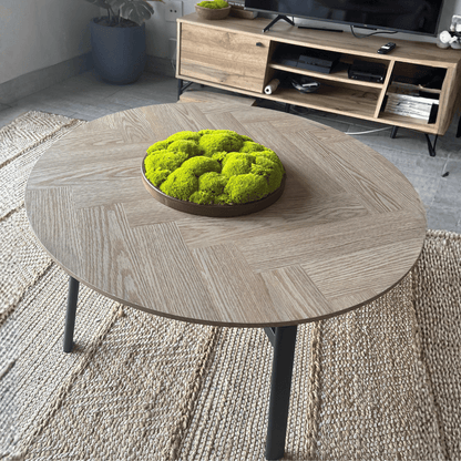 Round Décor Preserved Ball Moss Plate - 300 mm