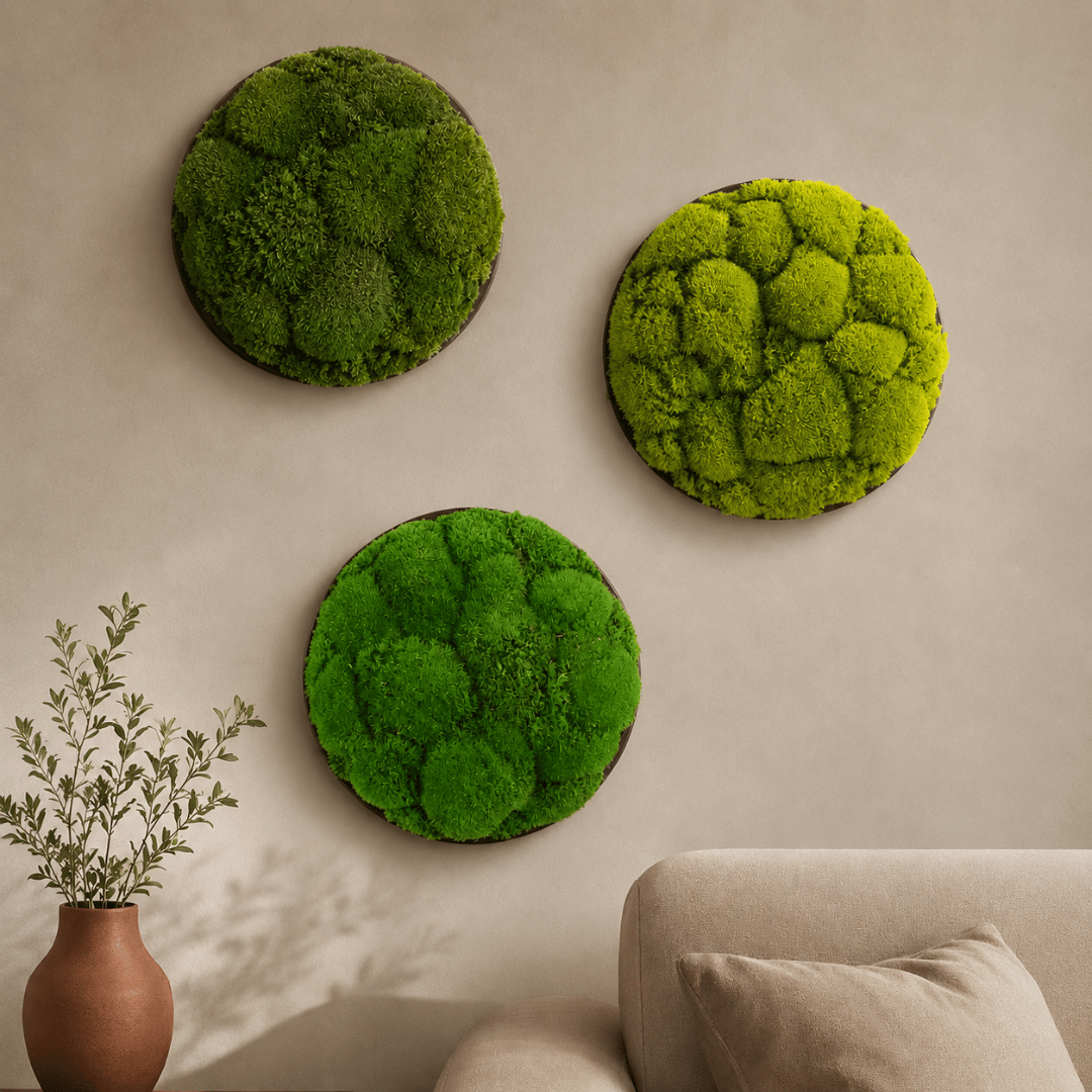 Round Décor Preserved Ball Moss Plate - 300 mm