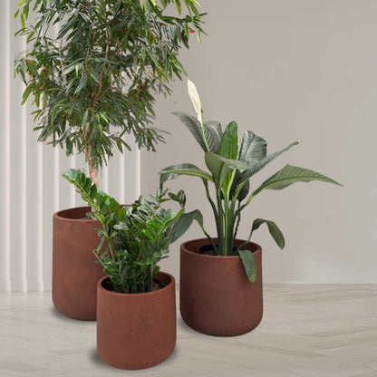 Nativa Japi Planter (Controlled lighting and irrigation option/Smart Drainage)