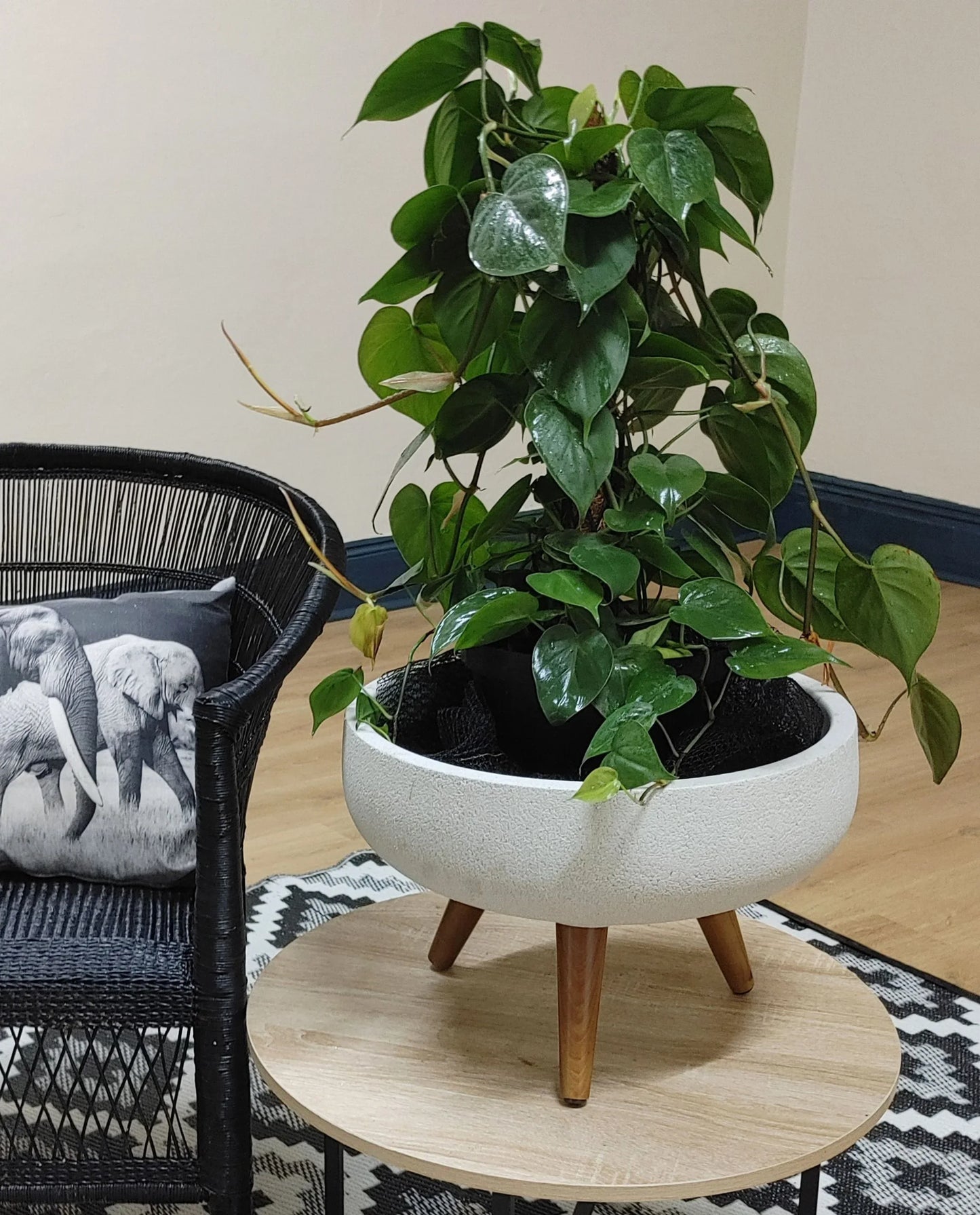 Rustic Bowl Japi Planter (CACHE POT) With Stand JVRD45