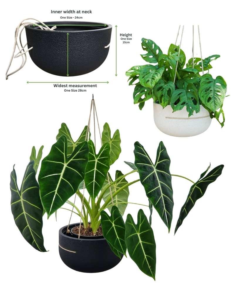 Rustic Pendant - Japi Hanging Planter