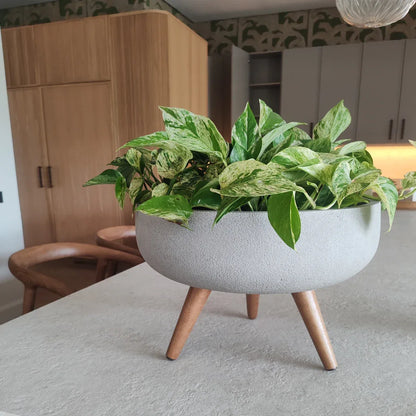 Rustic Bowl Japi Planter (CACHE POT) With Stand JVRD45