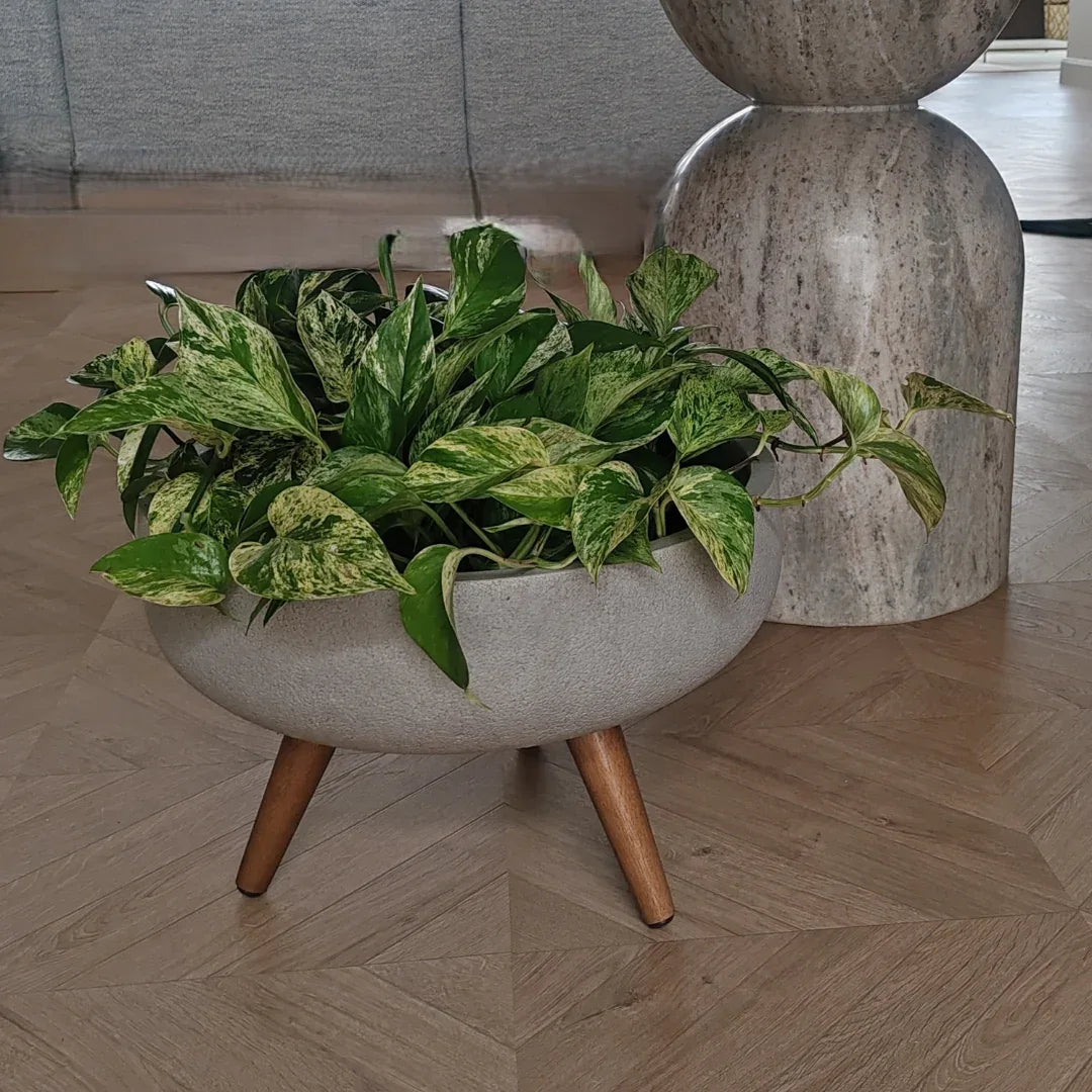 Rustic Bowl Japi Planter (CACHE POT) With Stand JVRD45